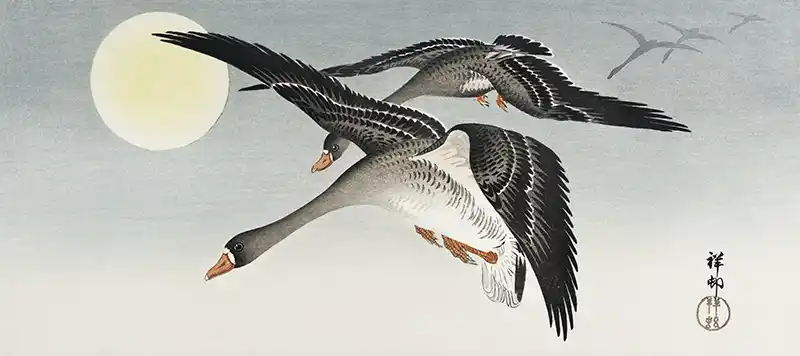 Birds at full moon